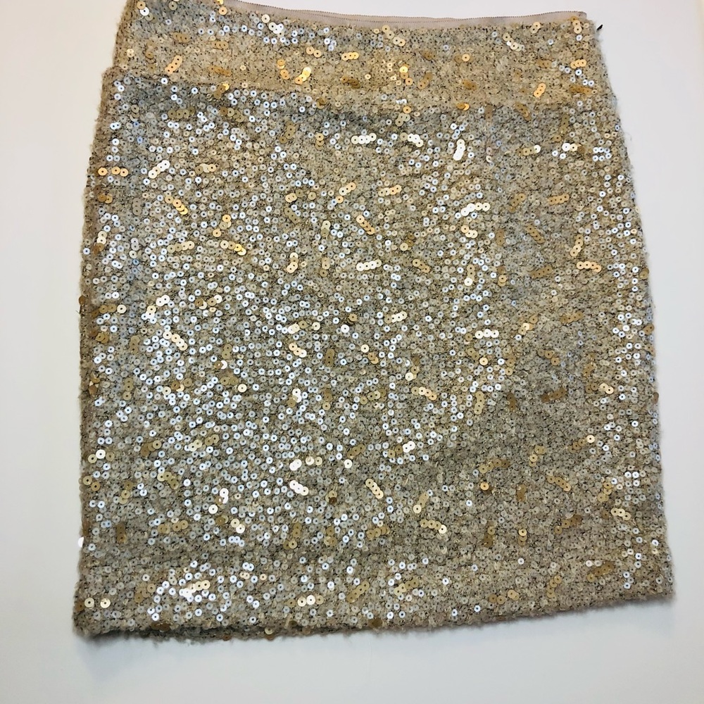 Banana Republic Skirt